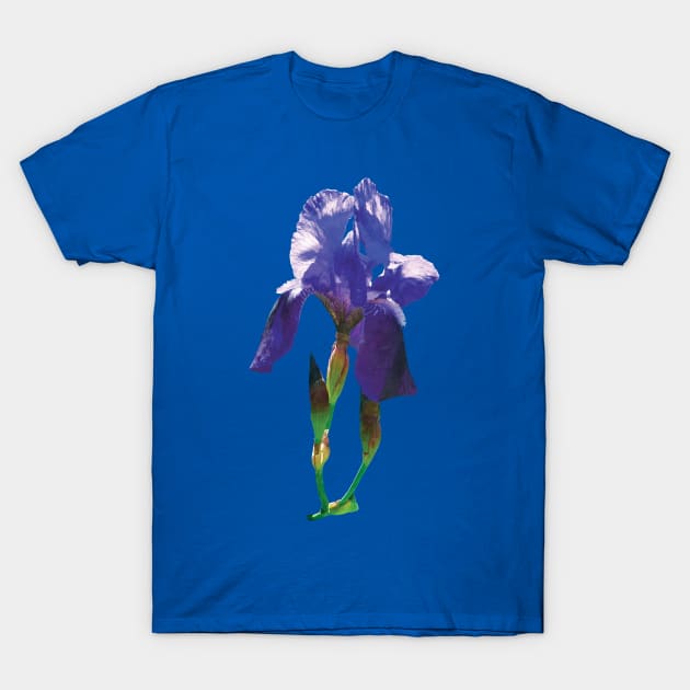 Irises - Iris and Buds T-Shirt by SusanSavad